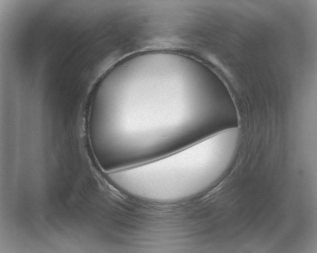 X0000070361459200606090747