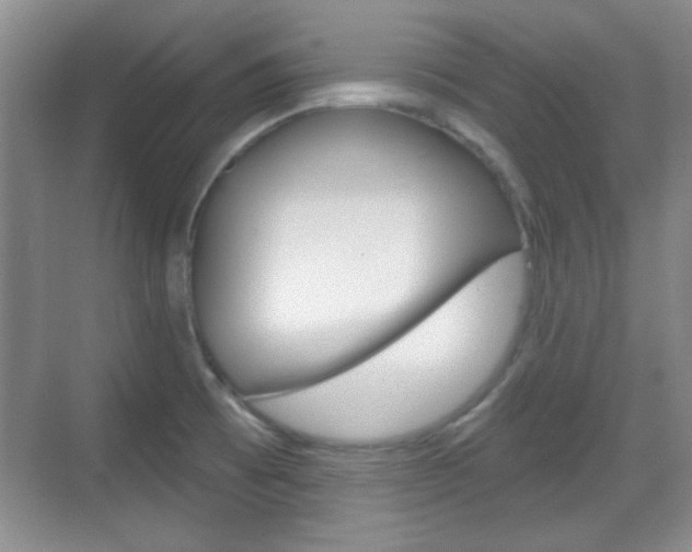 X0000070361473200606090747