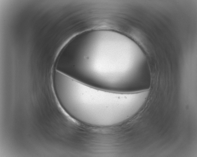 X0000070361476200606090747