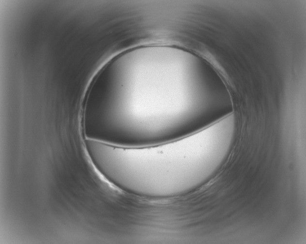 X0000070361484200606090747
