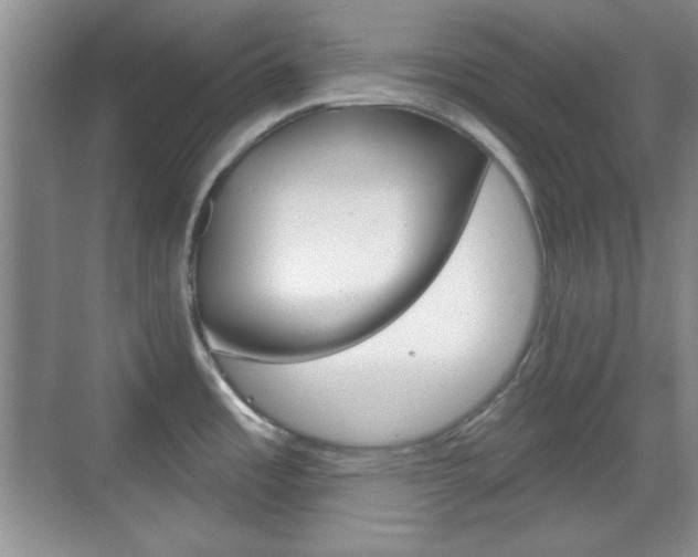X0000070361485200606090747