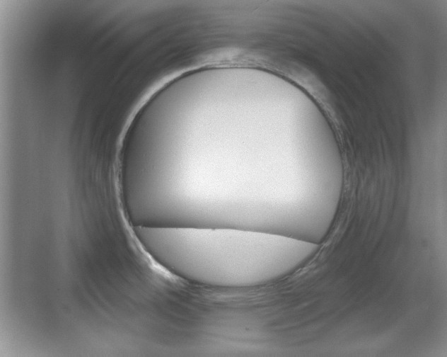 X0000070361486200606090747