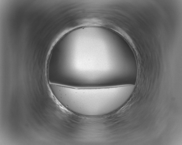 X0000070361488200606090747