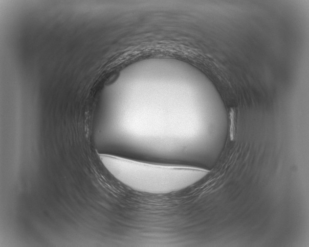 X0000070361491200606090746