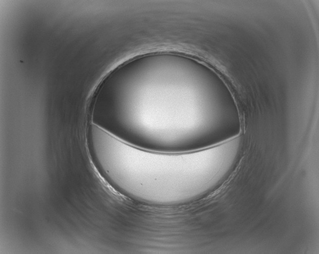X0000070361500200606090746