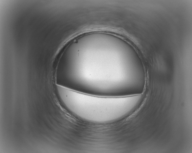 X0000070361501200606090746