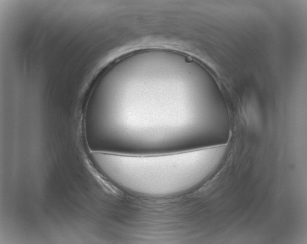 X0000070361507200606090746