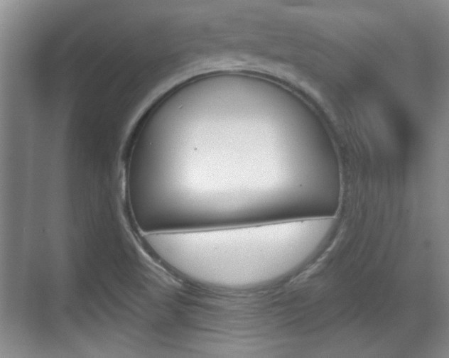 X0000070361509200606090746