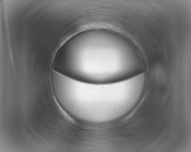 X0000070361521200606090747