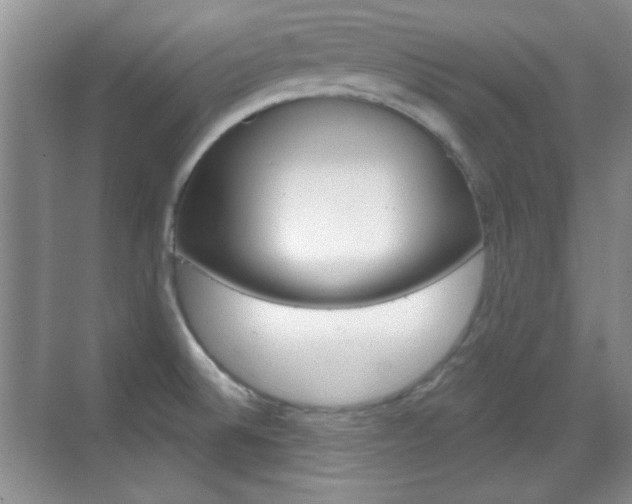 X0000070361524200606090747