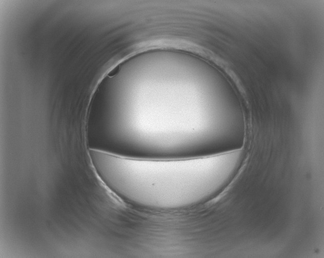 X0000070361529200606090747