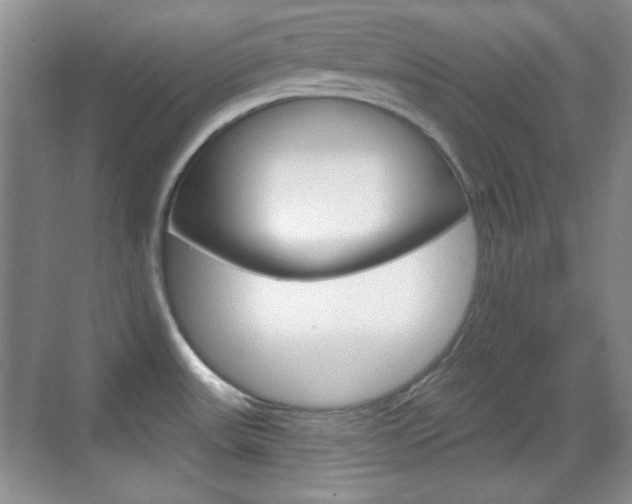 X0000070361531200606090747