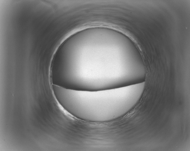 X0000070361535200606090747
