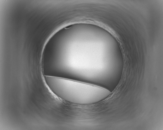 X0000070361536200606090747