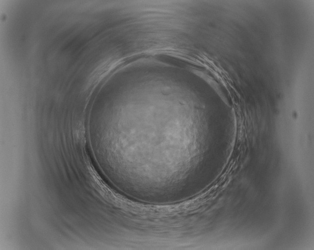 X0000070360002200606091043