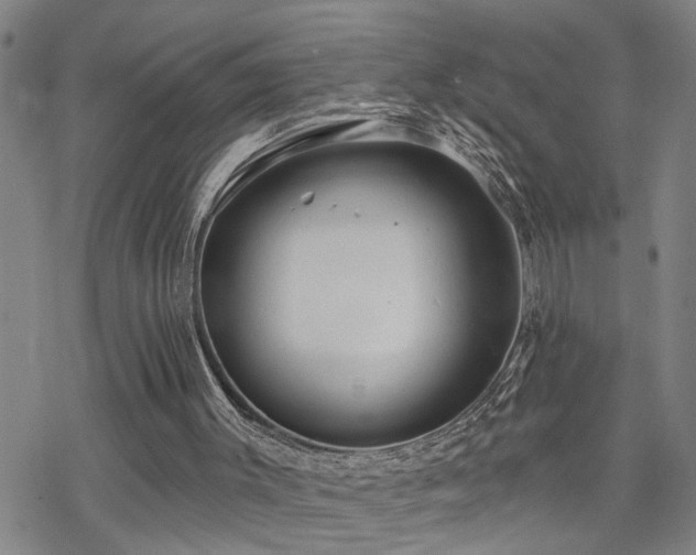 X0000070360003200606091043