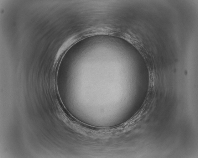 X0000070360004200606091043