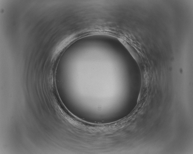 X0000070360005200606091043