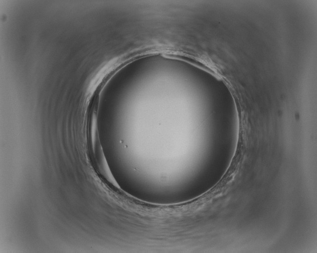 X0000070360007200606091043