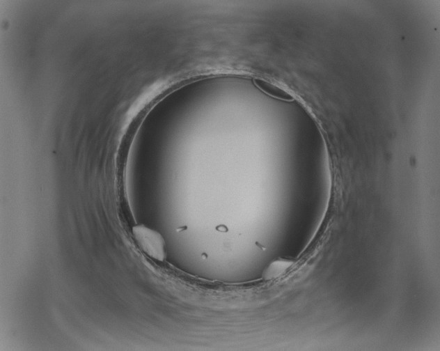 X0000070360008200606091043