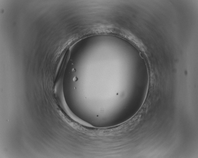 X0000070360009200606091043