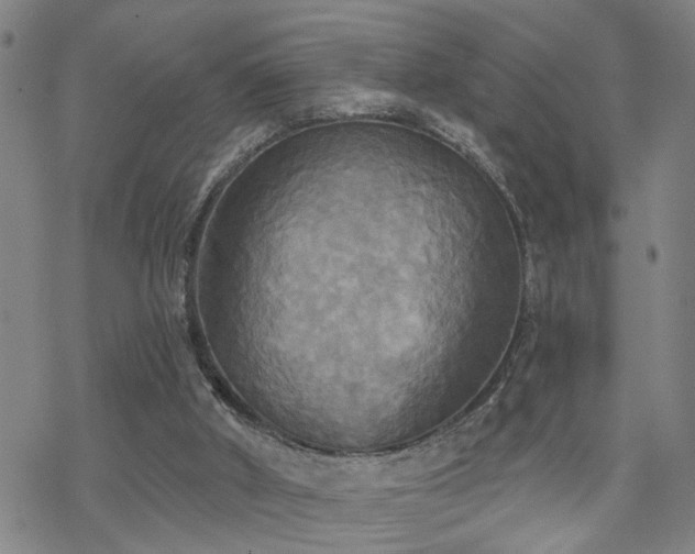 X0000070360010200606091043