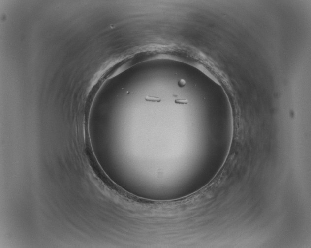 X0000070360011200606091043