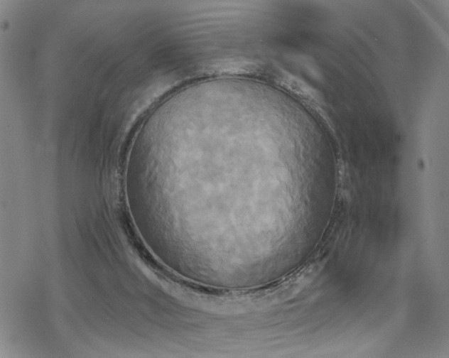 X0000070360012200606091043