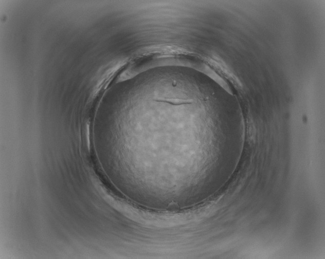 X0000070360014200606091043