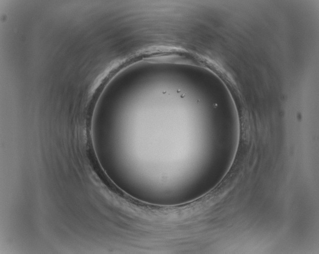 X0000070360015200606091043