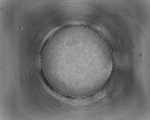 X0000070360016200606091043