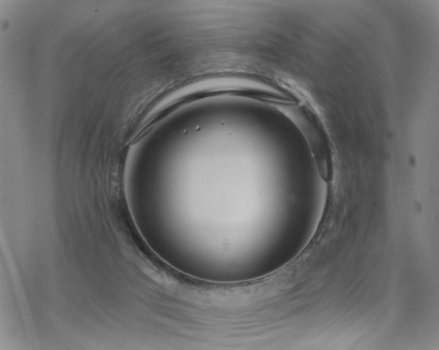 X0000070360017200606091043