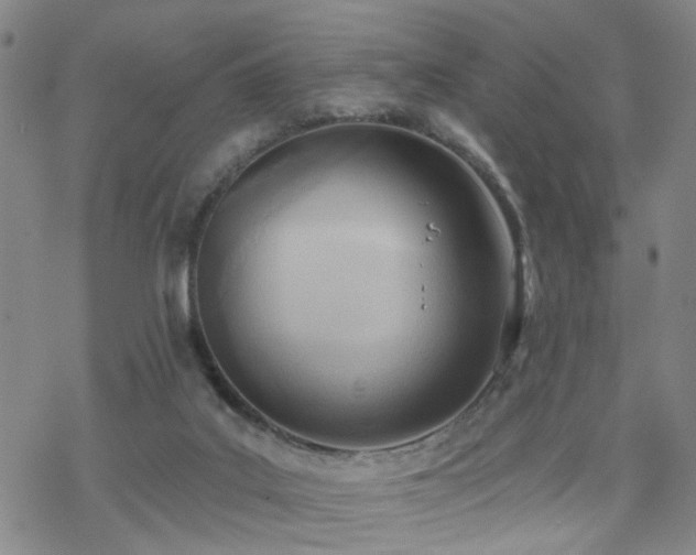 X0000070360019200606091043