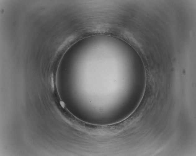 X0000070360020200606091043