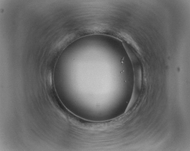 X0000070360021200606091043