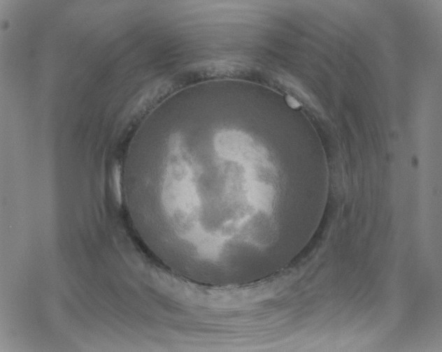 X0000070360022200606091043