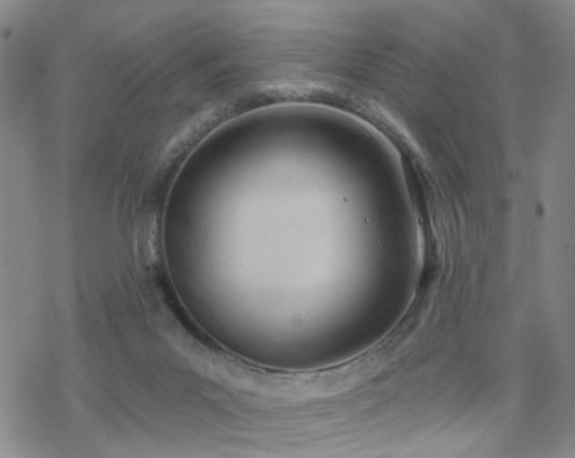 X0000070360023200606091043