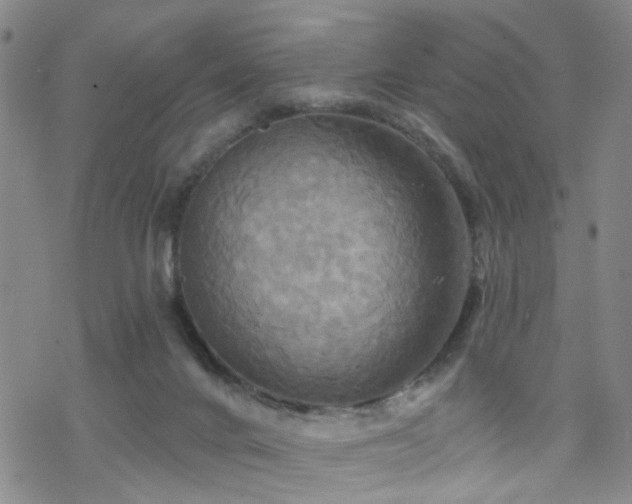 X0000070360024200606091043