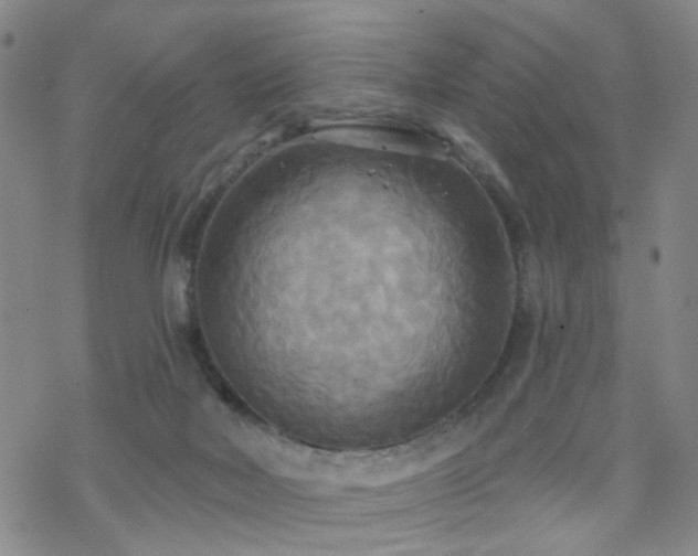 X0000070360026200606091043