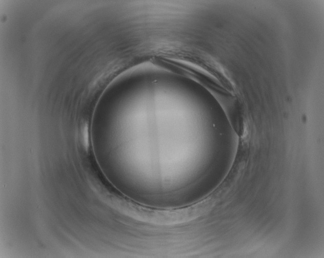 X0000070360027200606091043