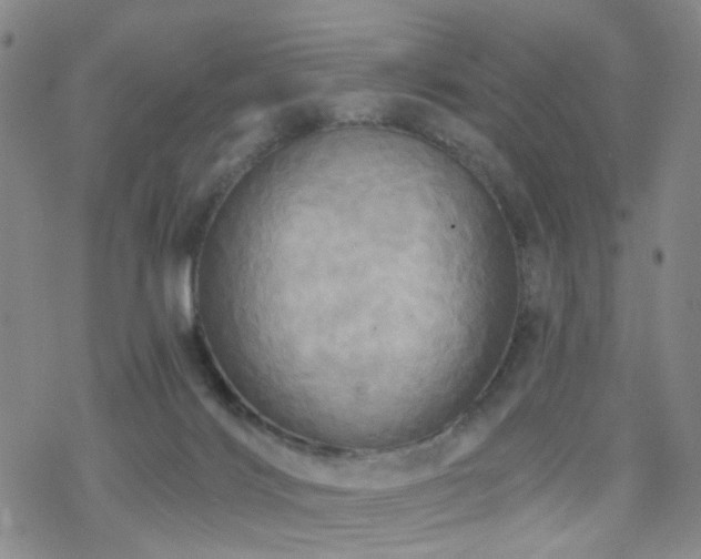 X0000070360028200606091043