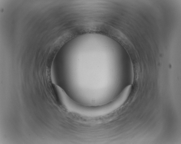 X0000070360029200606091043