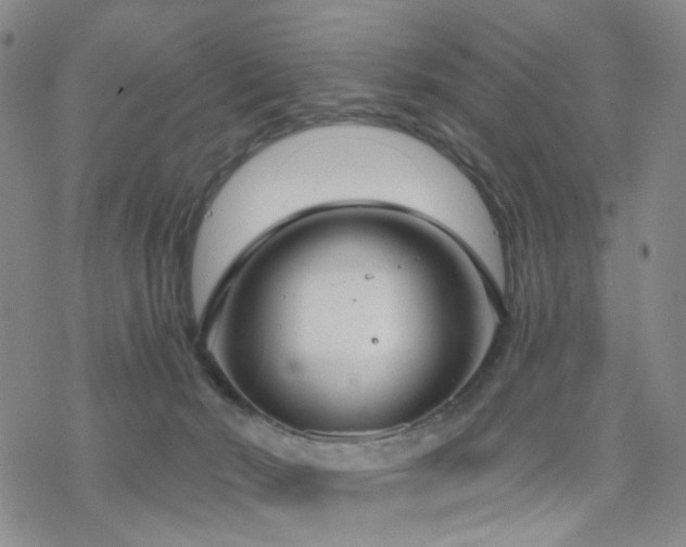 X0000070360030200606091043