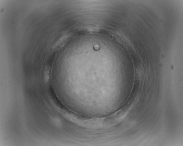 X0000070360032200606091043