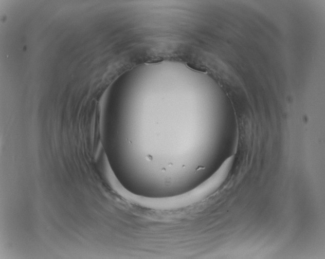 X0000070360033200606091043