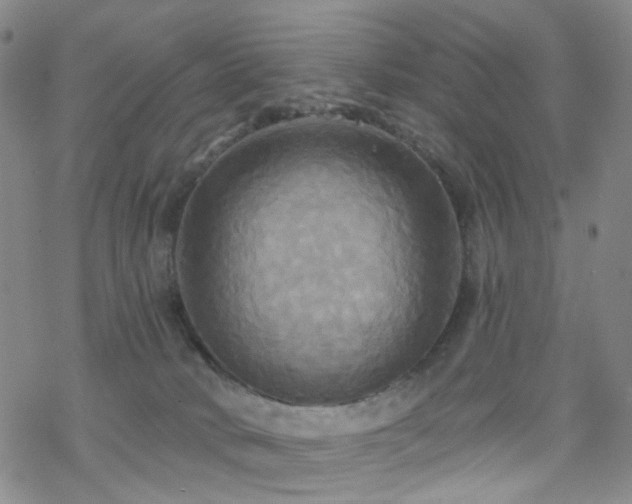 X0000070360034200606091043