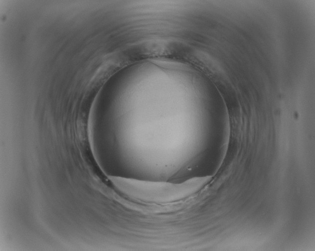 X0000070360035200606091043