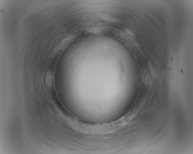 X0000070360036200606091043