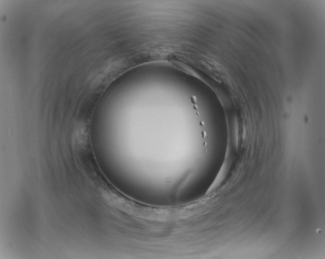 X0000070360037200606091043