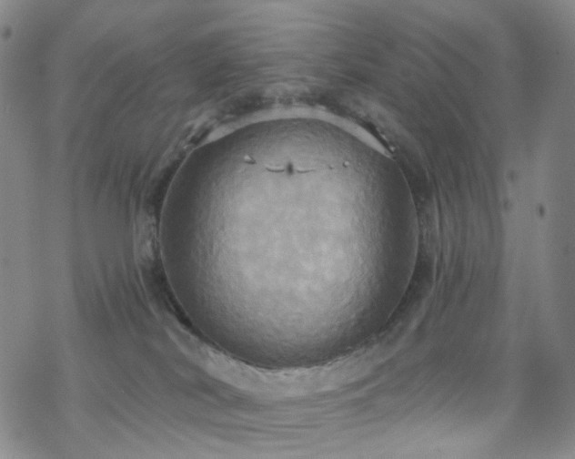 X0000070360038200606091042